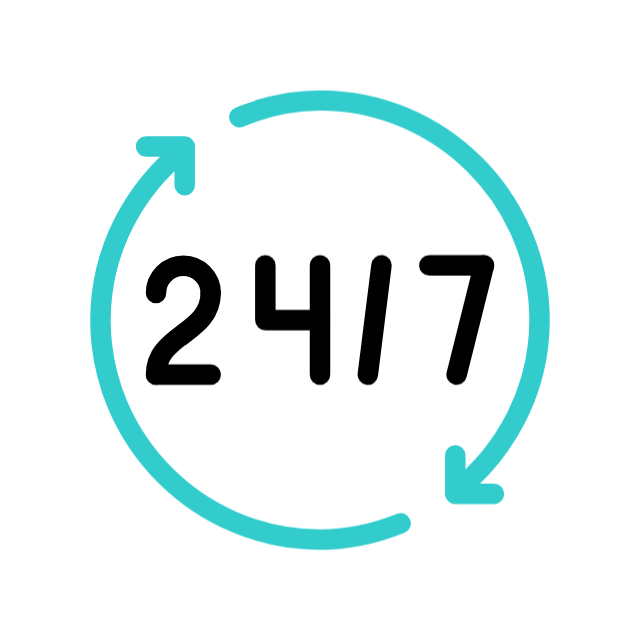 24/7 Technical Support